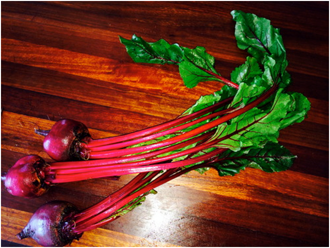 Wilted Beet Greens and Rainbow Chard